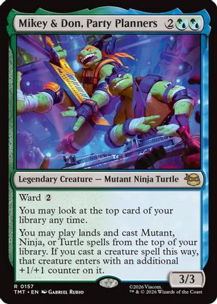 Mikey & Don, Party Planners [Teenage Mutant Ninja Turtles]