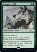 Aspect of Wolf [30th Anniversary Edition]