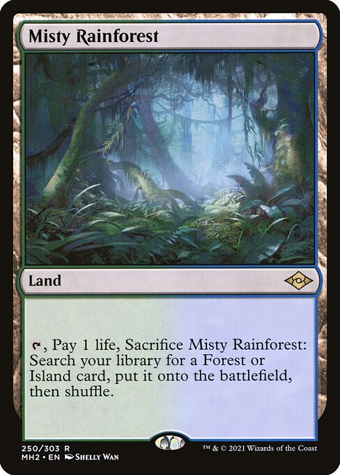 Misty Rainforest (MH2 250) [Modern Horizons 2]