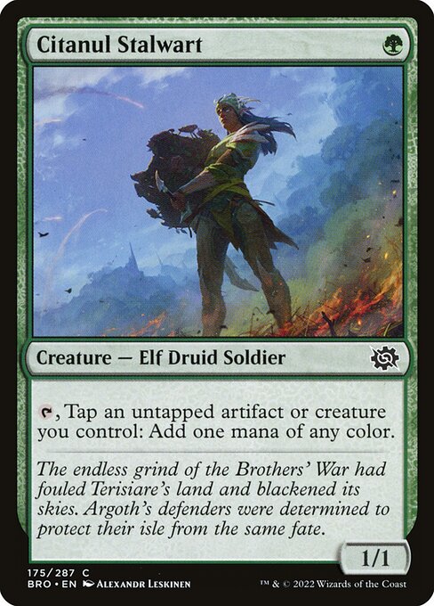 Citanul Stalwart (BRO 175) [The Brothers' War]